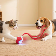 Automatic Rolling Cat Ball Toy for Interactive Play