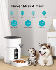 2-in-1 Pet Feeder & Stainless Steel Water Fountain