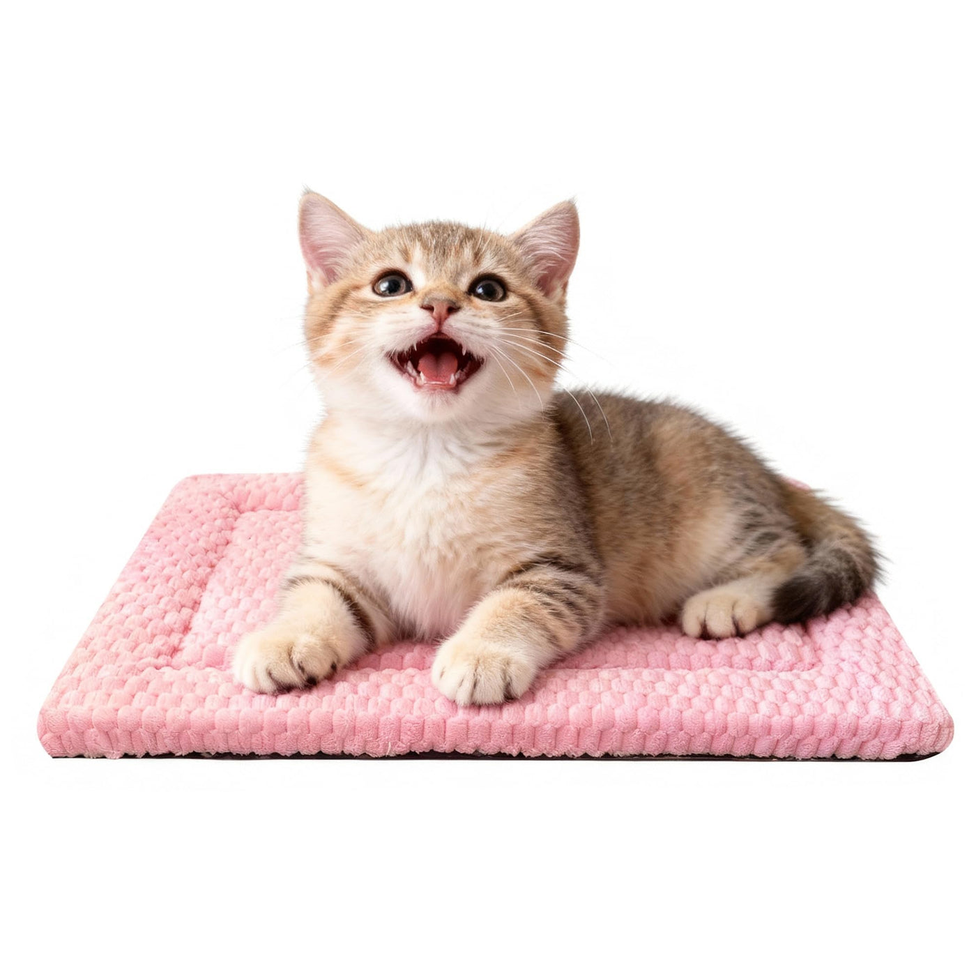 Washable Reversible Dog Crate Bed with Non-Slip Pad