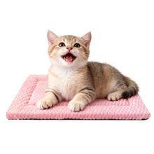 Washable Reversible Dog Crate Bed with Non-Slip Pad
