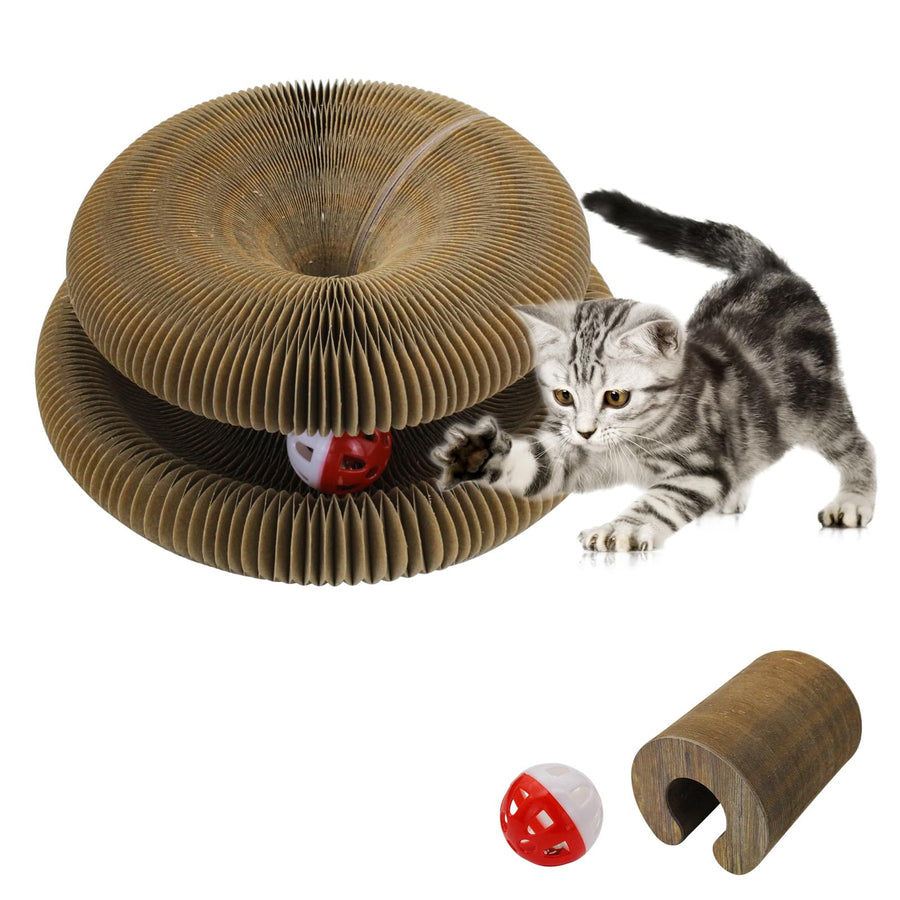 Magic Organ Cat Scratching Pad & Interactive Toy