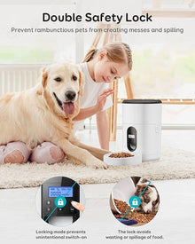 2-in-1 Pet Feeder & Stainless Steel Water Fountain