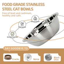 Raised Cat Food & Water Bowl Set for Indoor Cats