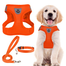 Adjustable No-Pull Dog & Cat Harness Leash Set