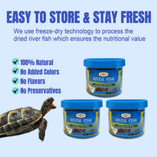 Natural Dried River Fish Food for Turtles & Reptiles