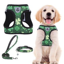 Adjustable No-Pull Dog & Cat Harness Leash Set