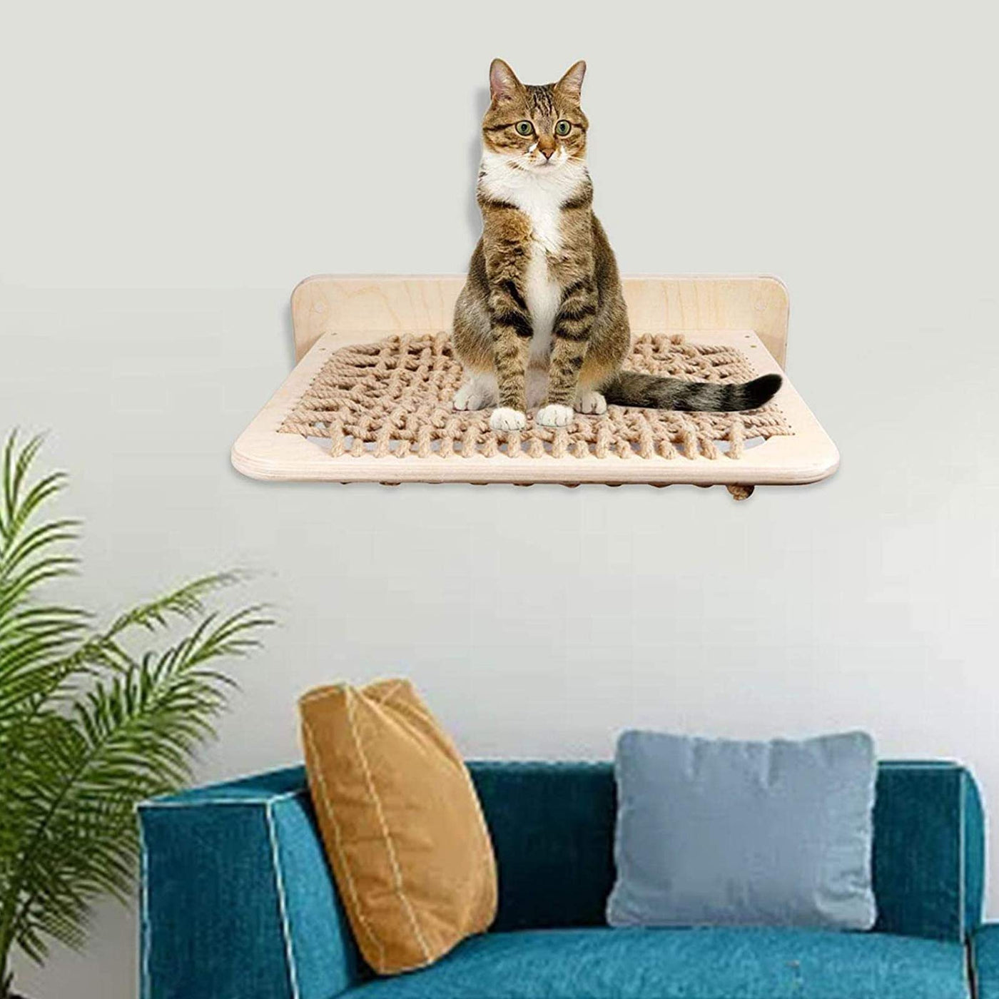 Wall-Mounted Rattan Cat Hammock Shelf & Lounge Bed