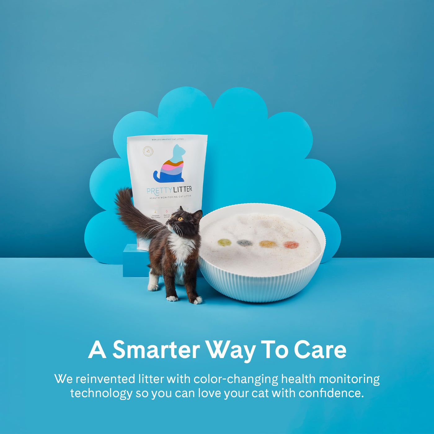 Health-Monitoring Color-Changing Silica Cat Litter