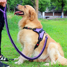 Adjustable Dog Walking Harness & Leash Set for Medium Dogs