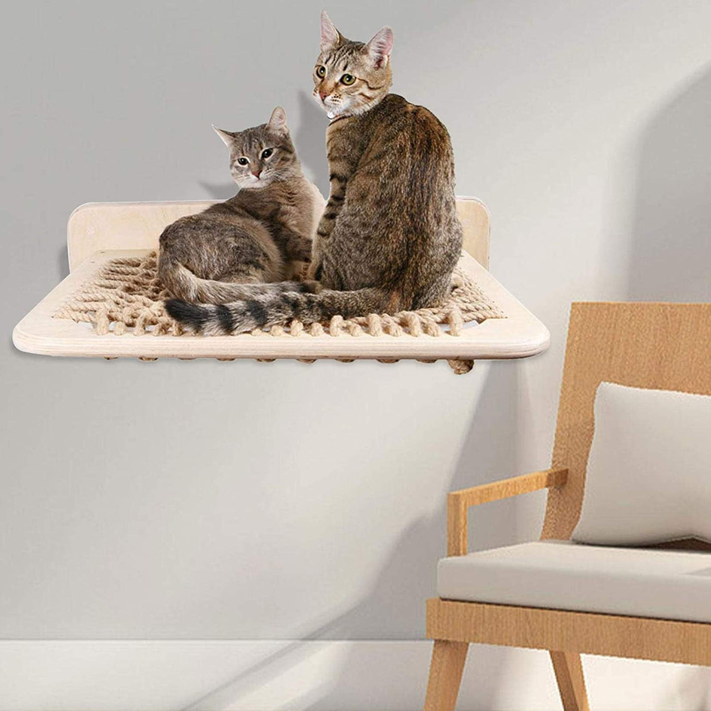Wall-Mounted Rattan Cat Hammock Shelf & Lounge Bed