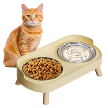 Raised Cat Food & Water Bowl Set for Indoor Cats