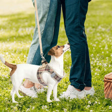 Adjustable No-Pull Dog & Cat Harness Leash Set