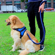 Adjustable Dog Walking Harness & Leash Set for Medium Dogs