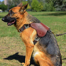 Genuine Leather Dog Harness Vest for Large Dogs