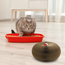 Magic Organ Cat Scratching Pad & Interactive Toy