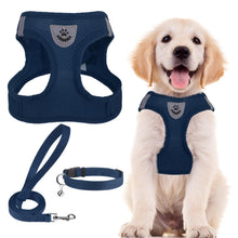 Adjustable No-Pull Dog & Cat Harness Leash Set