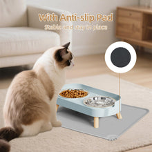 Raised Cat Food & Water Bowl Set for Indoor Cats