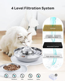 2-in-1 Pet Feeder & Stainless Steel Water Fountain
