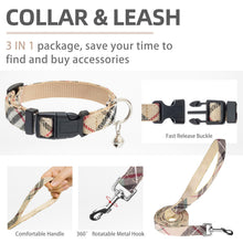 Adjustable No-Pull Dog & Cat Harness Leash Set