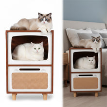 Retro TV-Style 2-Tier Cat Activity Center with Scratcher