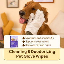 Deodorizing Grooming Glove Wipes for Dogs & Cats