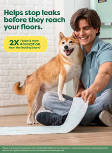Max Absorbency Puppy Pee Pads for Potty Training
