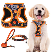 Adjustable No-Pull Dog & Cat Harness Leash Set