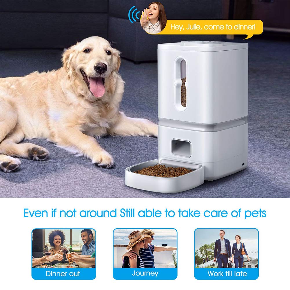 7L Programmable Pet Feeder with Stainless Steel Tray