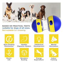 Interactive Dog Treat Dispensing Ball Toy for Play