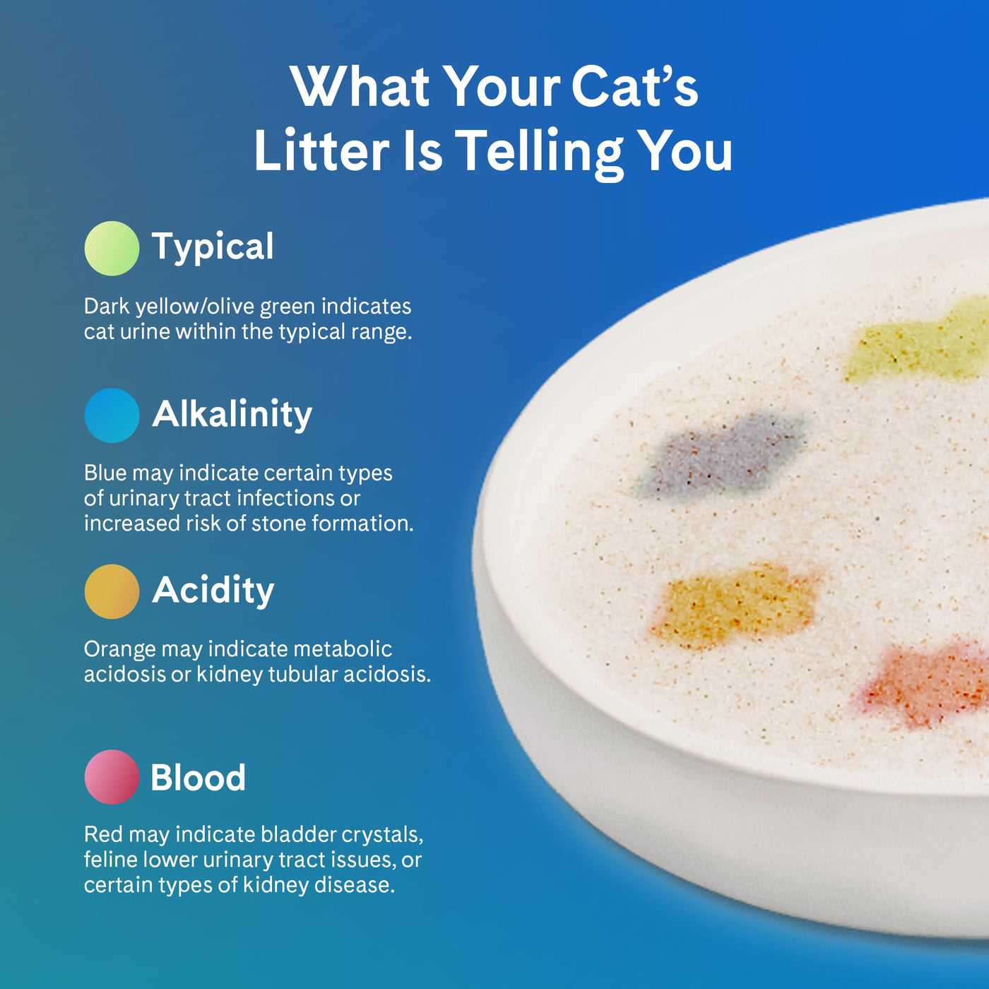 Health-Monitoring Color-Changing Silica Cat Litter
