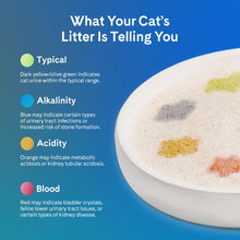 Health-Monitoring Color-Changing Silica Cat Litter