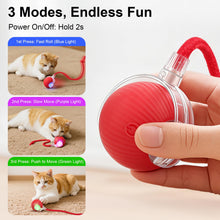 Automatic Rolling Cat Ball Toy for Interactive Play