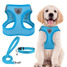 Adjustable No-Pull Dog & Cat Harness Leash Set