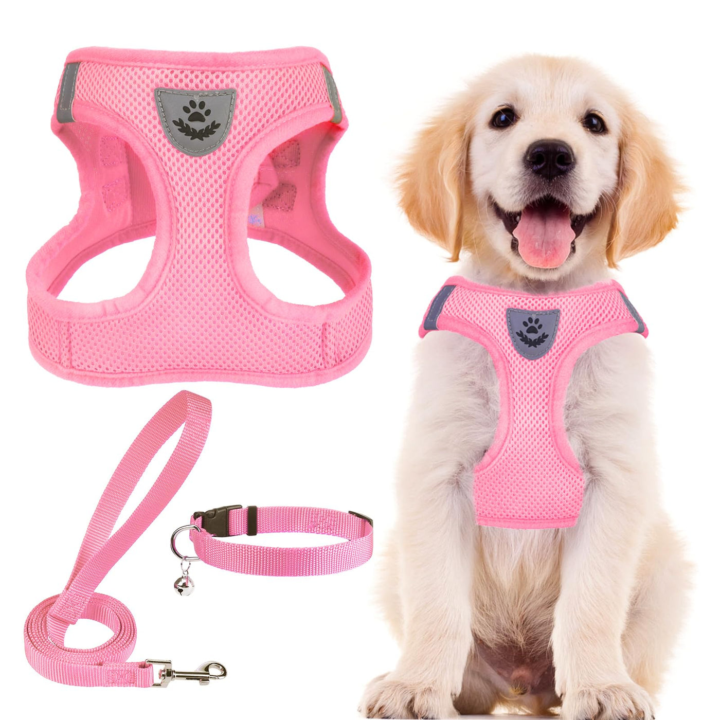 Adjustable No-Pull Dog & Cat Harness Leash Set