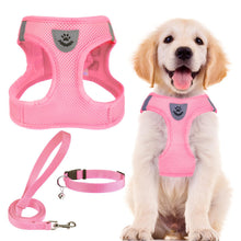 Adjustable No-Pull Dog & Cat Harness Leash Set