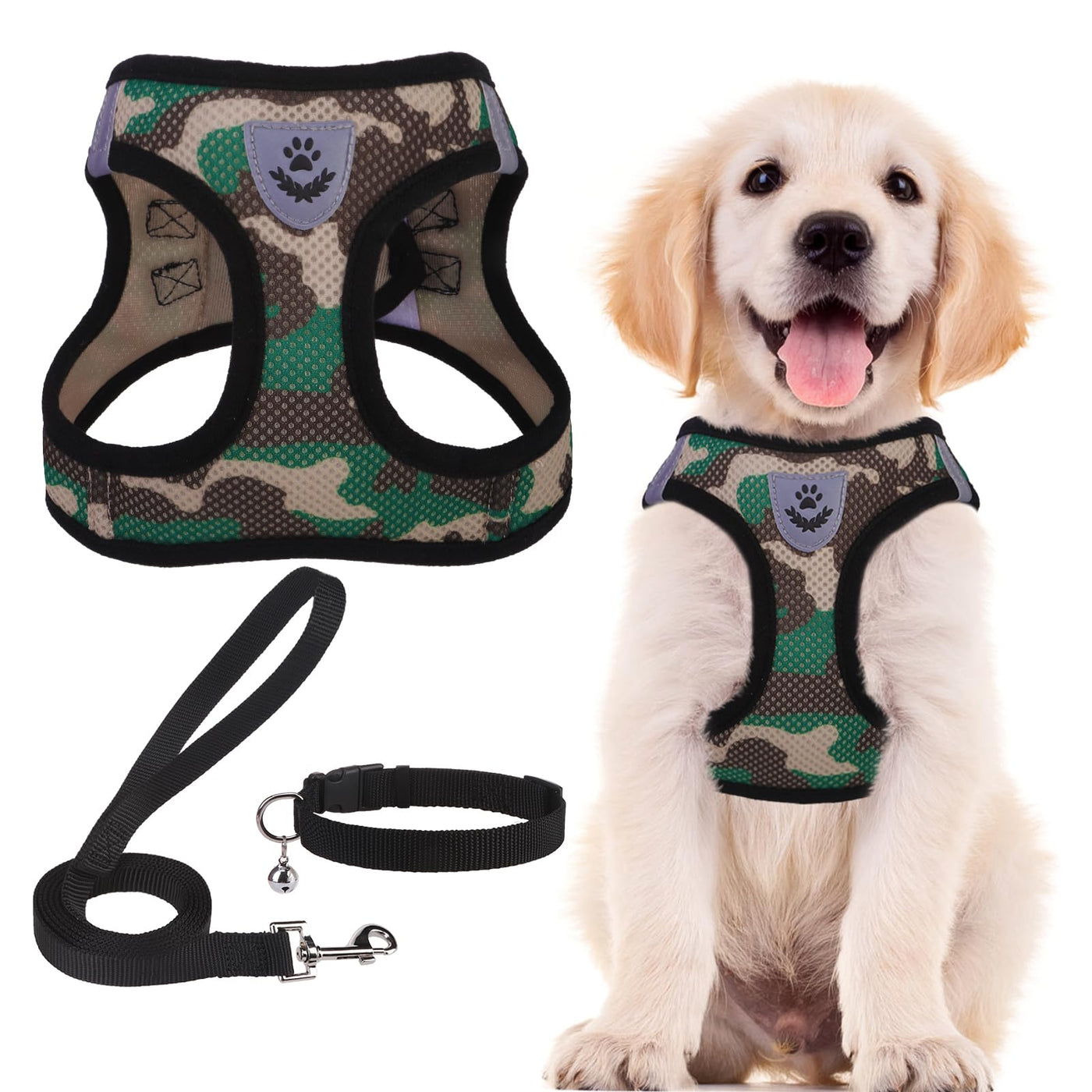 Adjustable No-Pull Dog & Cat Harness Leash Set