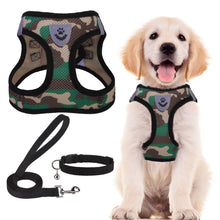 Adjustable No-Pull Dog & Cat Harness Leash Set