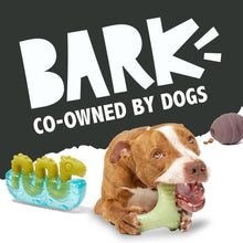 Tough Plush & Rubber Dog Chew Toy for Aggressive Chewers