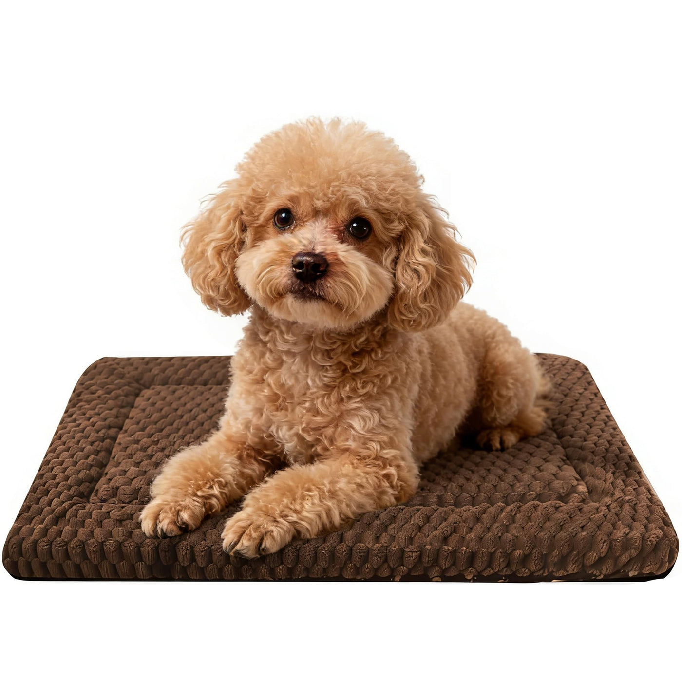 Washable Reversible Dog Crate Bed with Non-Slip Pad