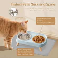 Raised Cat Food & Water Bowl Set for Indoor Cats