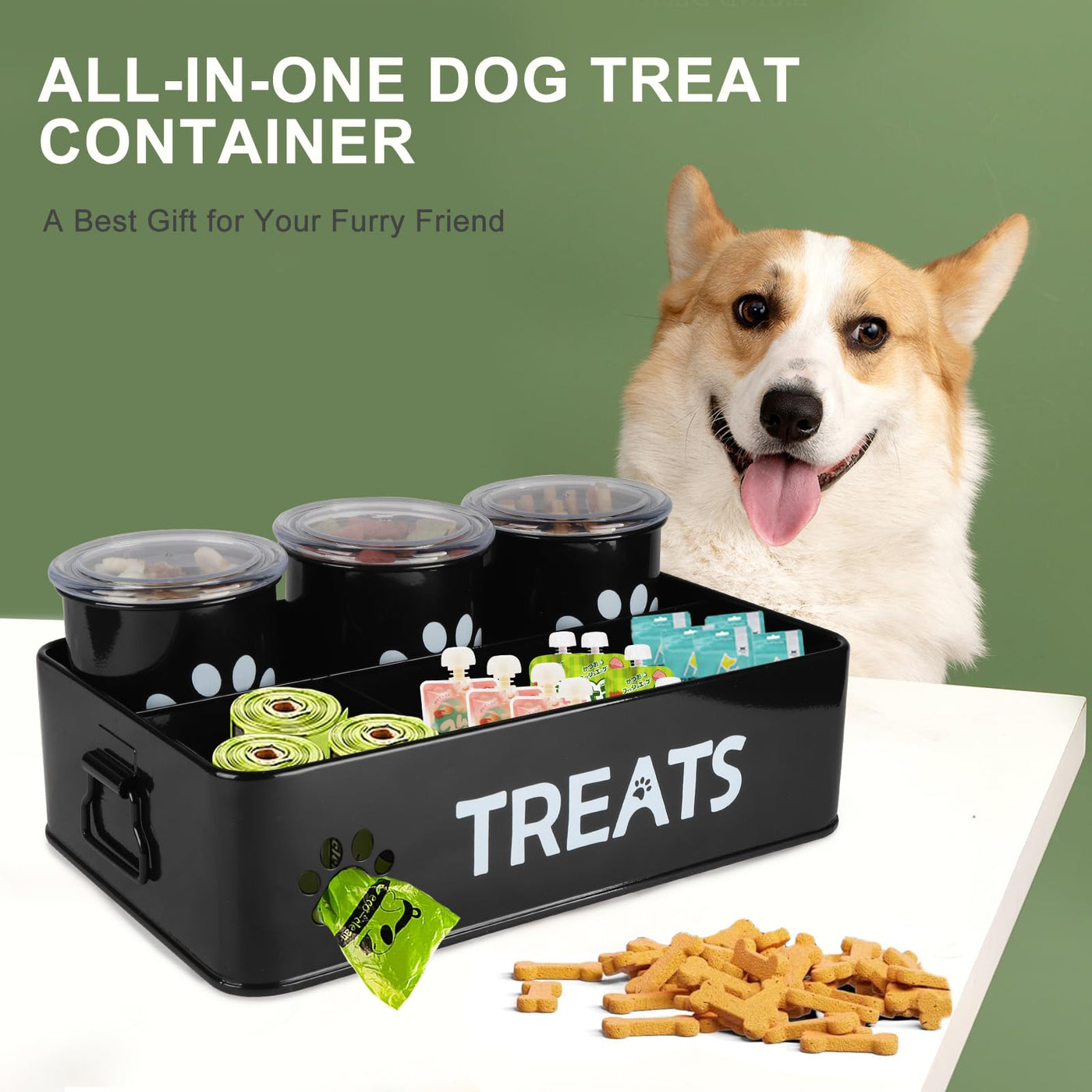 Airtight Metal Dog & Cat Treat Jar Set of 3 for Countertops