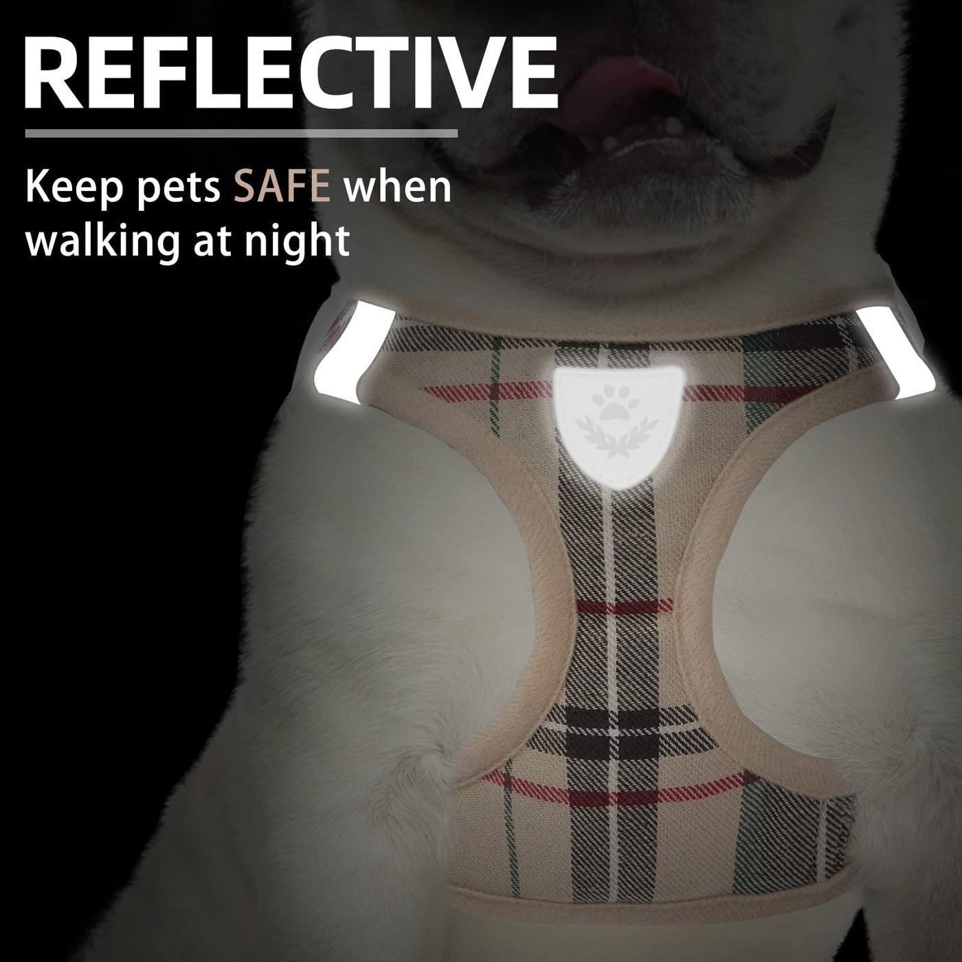 Adjustable No-Pull Dog & Cat Harness Leash Set