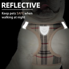 Adjustable No-Pull Dog & Cat Harness Leash Set