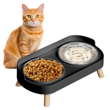 Raised Cat Food & Water Bowl Set for Indoor Cats