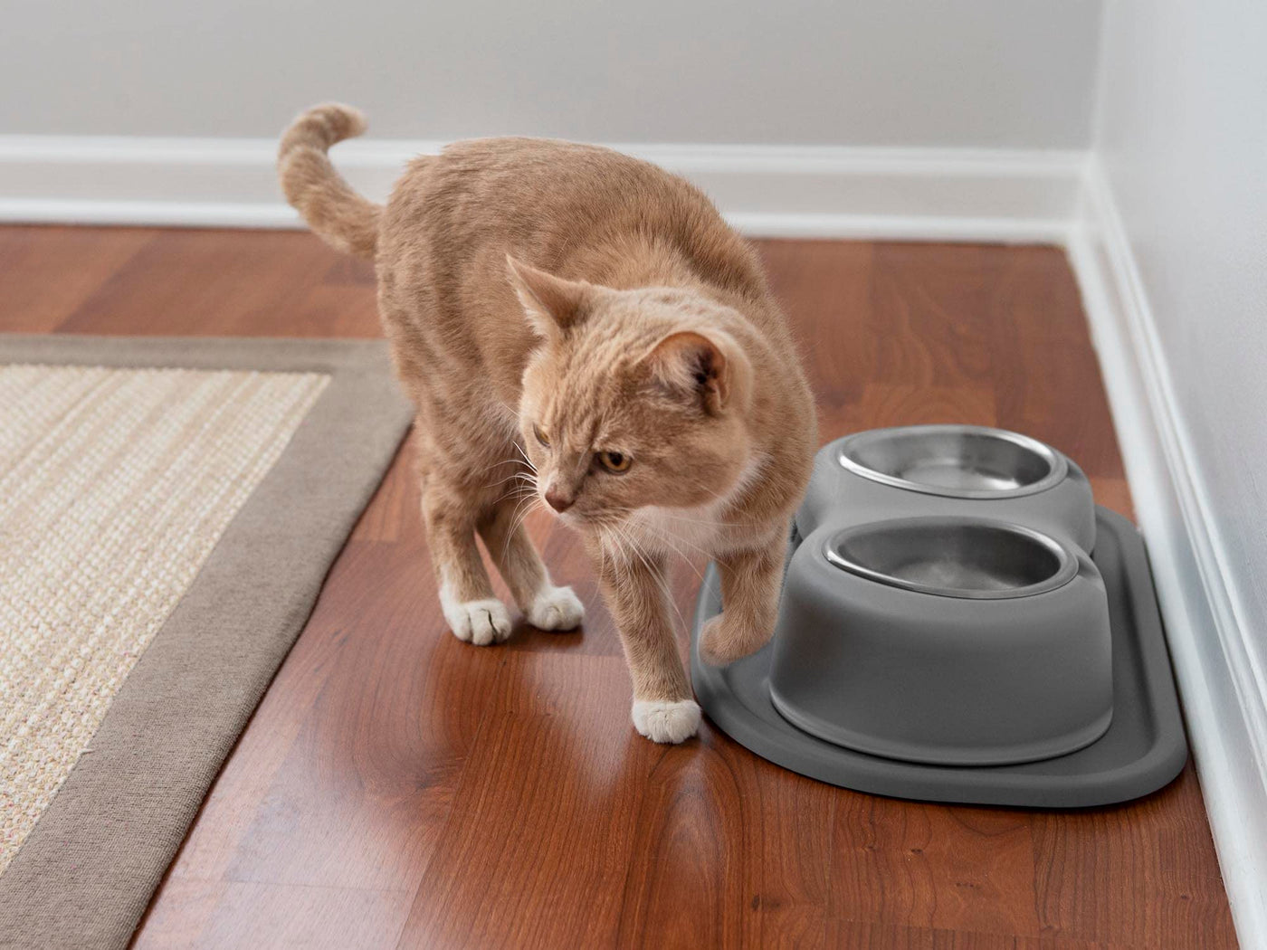 Elevated Double Pet Feeding System for Dogs & Cats
