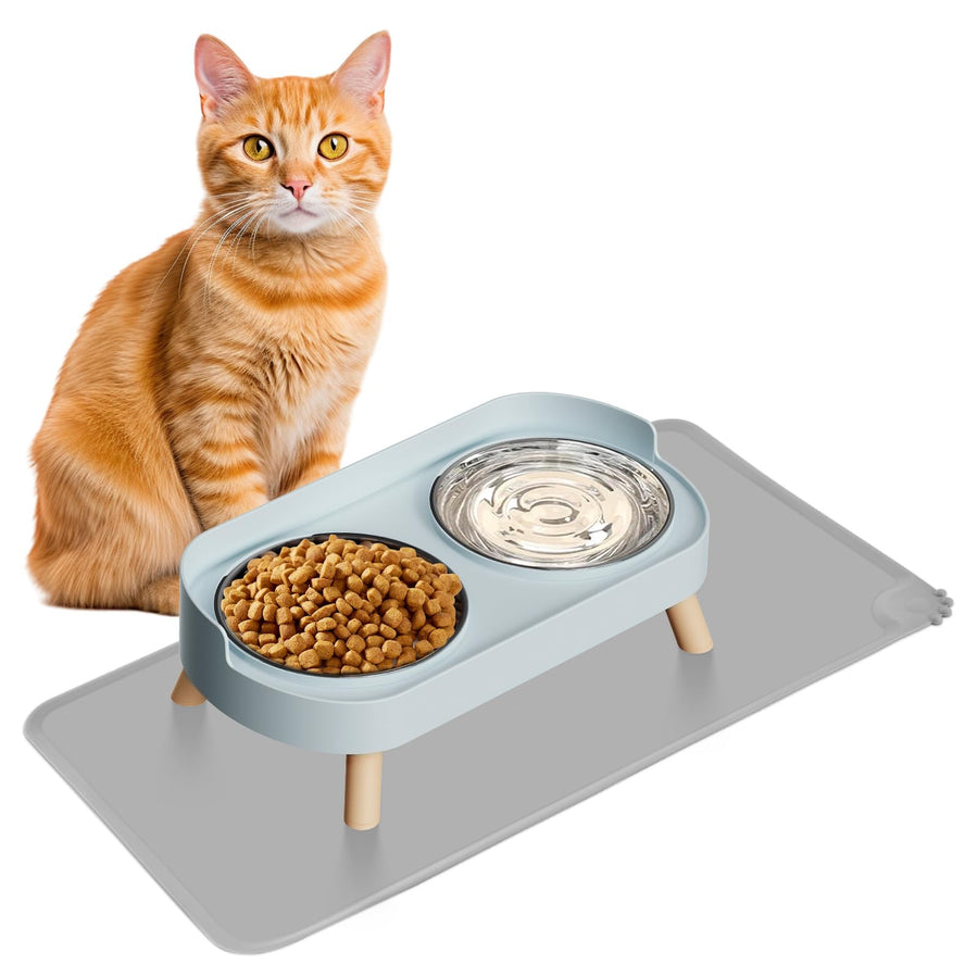 Raised Cat Food & Water Bowl Set for Indoor Cats