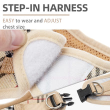 Adjustable No-Pull Dog & Cat Harness Leash Set