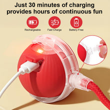 Automatic Rolling Cat Ball Toy for Interactive Play