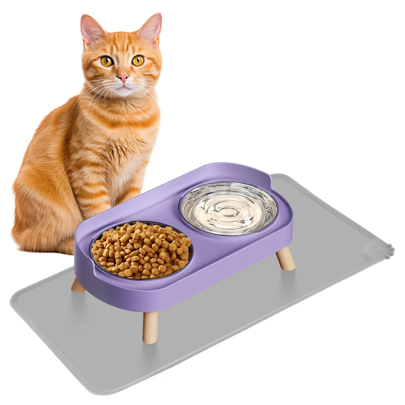 Raised Cat Food & Water Bowl Set for Indoor Cats
