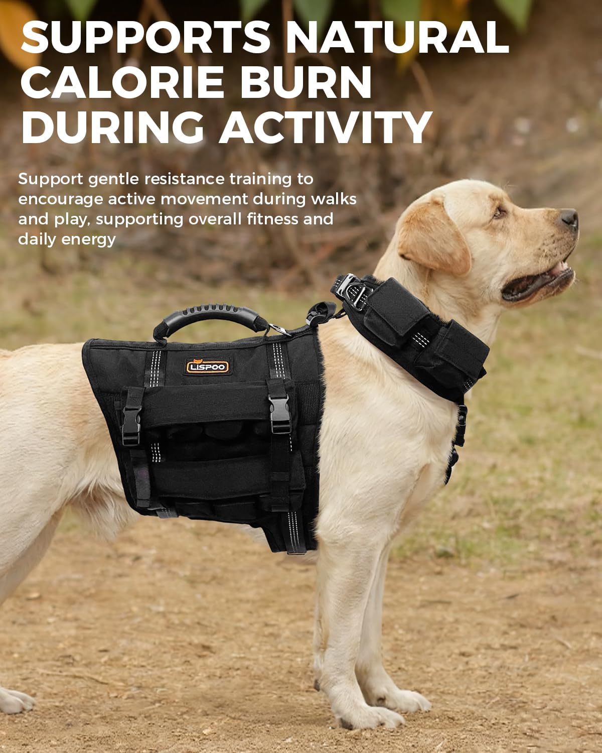 Reflective No-Pull Nylon Dog Harness for Small Dogs
